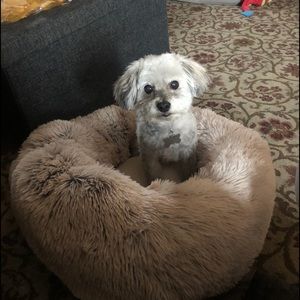 Meet your Posher, Gail